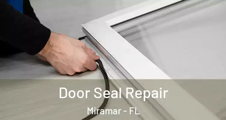  Door Seal Repair Miramar - FL
